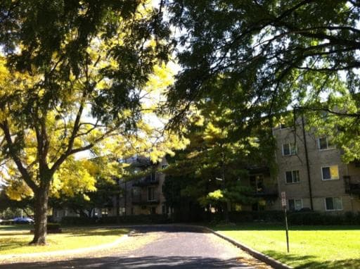 2315 E Olive Street #4H, Arlington Heights, IL — sold by Lena Bondar